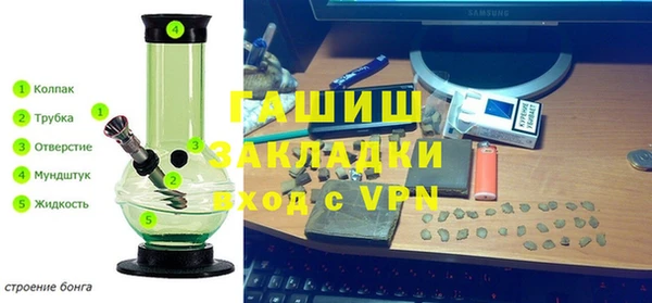 прущие грибы Аркадак