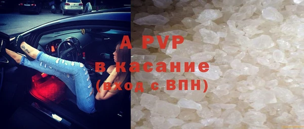 прущие грибы Аркадак
