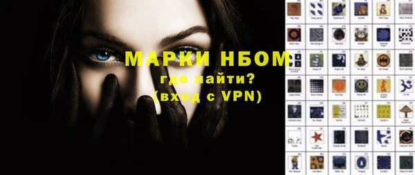 прущие грибы Аркадак
