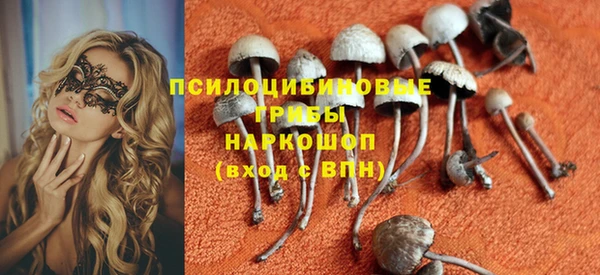 прущие грибы Аркадак
