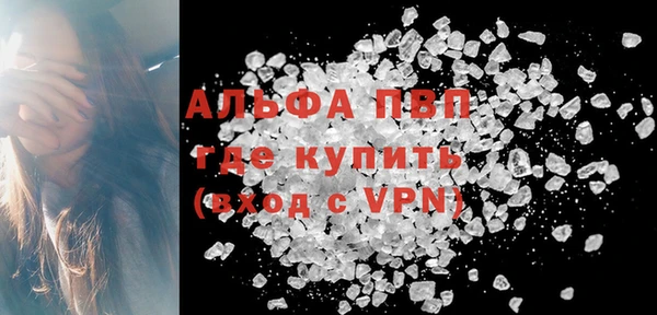 прущие грибы Аркадак