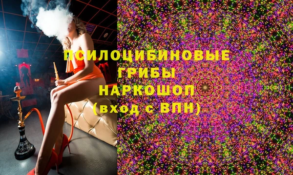 прущие грибы Аркадак