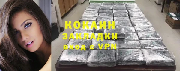 прущие грибы Аркадак