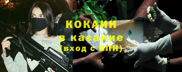 прущие грибы Аркадак