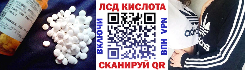 купить наркоту  Талица  Лсд 25 экстази кислота 