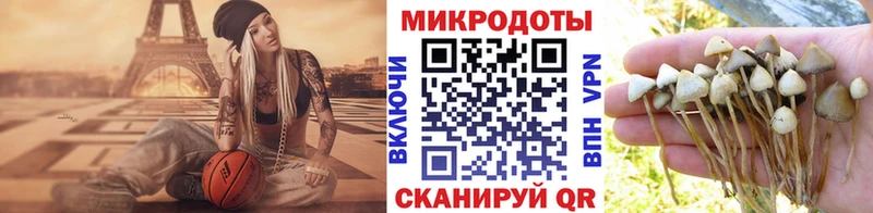 Галлюциногенные грибы прущие грибы Талица
